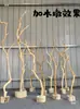 Madera en bruto, ramas secas, ramas marchitas, materiales para arreglos florales, materiales de paisajismo, mobiliario suave, decoraciones de techo creativas para interiores, jarrones para arreglos florales y adornos de madera seca