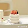 Plantas suculentas, plantas pequeñas de interior en maceta, cactus de mesa para sala de estar, plantas verdes, flores de vivero, fáciles de cuidar durante todo el año