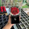 Caja de Joyería con Flores Preservadas, Caja de Regalo con Collar de Flor de Rosa, Flores Preservadas al por Mayor para el Día de San Valentín, Set Transfronterizo, Flores Preservadas en Stock