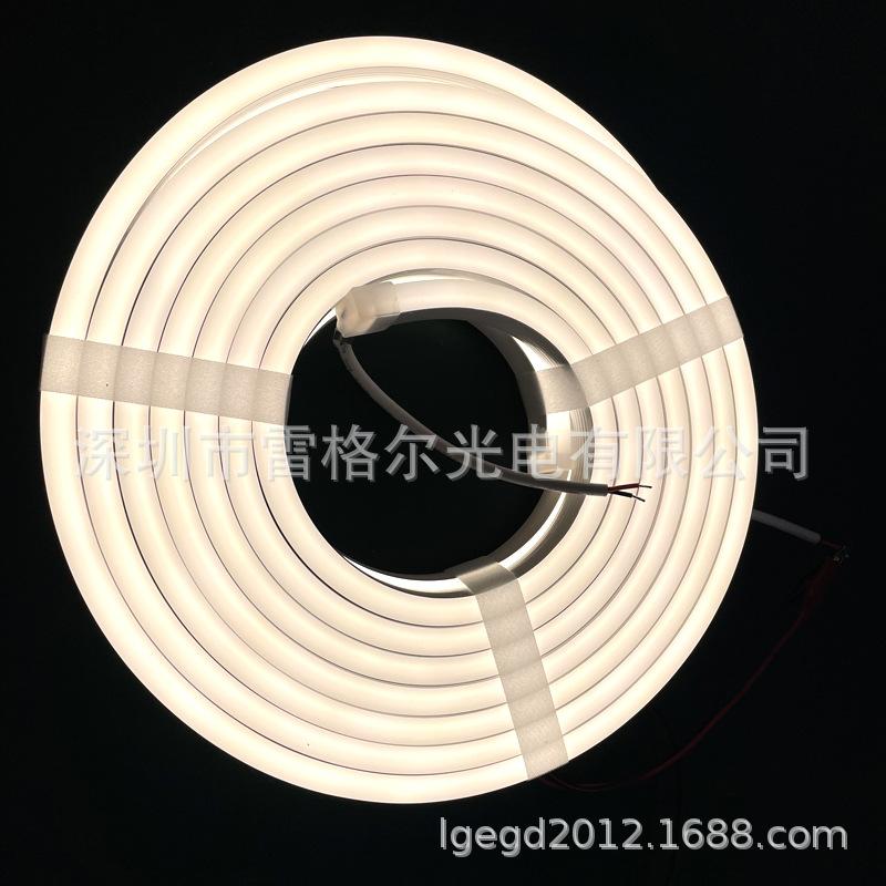 1220共挤灯条12.jpg