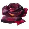 Dropshipping de Plántulas de Rosa Hacker, Flores de Rosa en Maceta Florecientes, Plantas Trepadoras, Plántulas de Rosa Trepadora, Plantas Verdes
