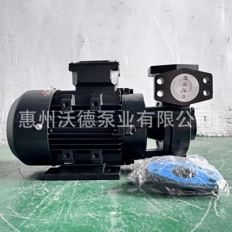 WM-20高温泵12