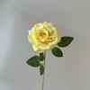 Simulação Cachoeira Rosa Floyd Rose Advanced Sense Shopping Mall Layout Net Flor Vermelha Pino de Parede Flores de Casamento