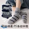 Calcetines para Niños, Desodorantes, Calcetines de Longitud Media para Primavera y Otoño para Niños, Talla Mediana, Absorbentes de Sudor, Calcetines Cálidos y Transpirables para Otoño e Invierno para Estudiantes