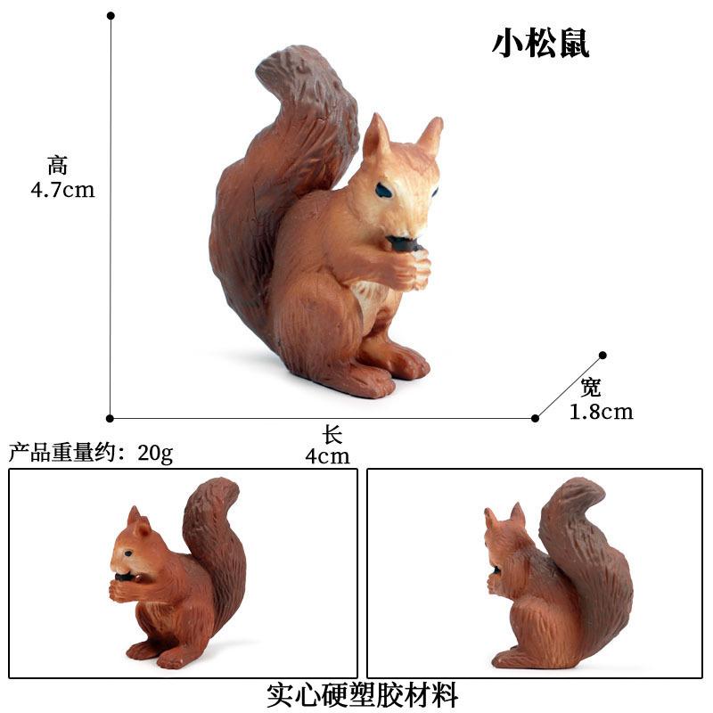 PL127-810小松鼠