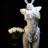 Sexy encaje cosplay conejita uniforme lencería erótica ajustado transparente liguero hueco camisón qqny1824