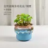 Uma variedade de vaso de flor carnuda de cerâmica criativo forno de areia branca mudança fluxo de Ferro Dourado esmalte cena de flor de jardinagem roxa escovada