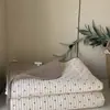 Nueva Serie de Artículos Individuales de Algodón Lavado Suave con la Piel Cepillado Color Sólido Sábana Bajera Individual Funda de Almohada Individual Juego de Tres Piezas Funda Protectora Colcha