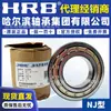 Rodamientos de Rodillos Cilíndricos de una Hilera Hrb Harbin Bearing Nu206Em Nu207Em Nu208Em
