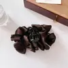 Presilha de Cabelo de Nova Moda de Alto Padrão Transfronteiriça Estilo Coreano Luxo Leve Cetim Plissado Acessório de Cabelo Nicho Simples Presilha de Tubarão