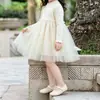 Vestido de primavera y otoño para niñas, ropa infantil elegante y a la moda, retazos de malla estilo coreano, vestido súper de princesa de hadas