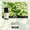 70 Tipos de Aceites Esenciales de Aromaterapia Solubles en Agua Son Adecuados para Máquinas de Aromaterapia, Difusores, Humidificadores y Difusores de Fragancia para Interiores con una Rica Variedad de Aromas