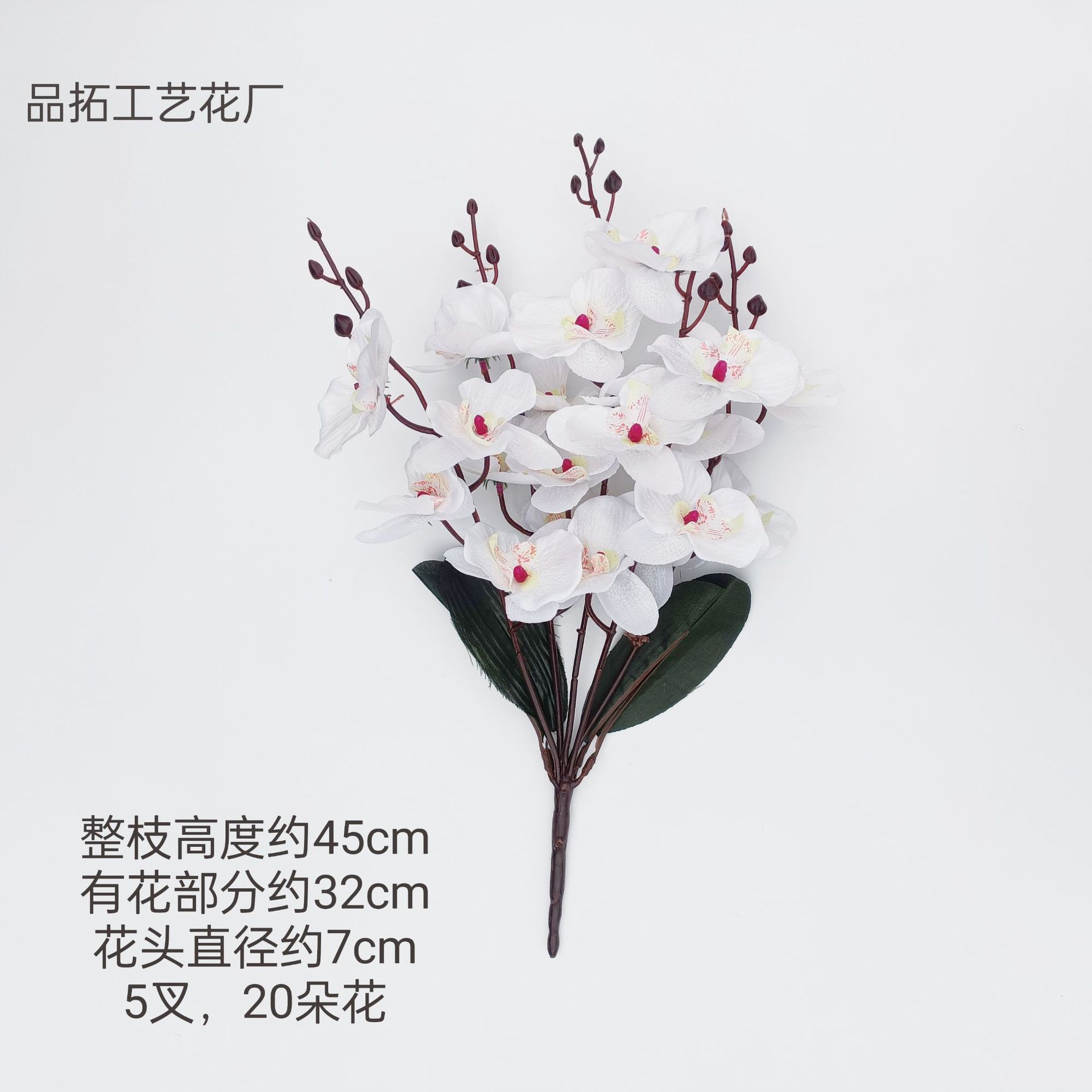 17a32082e1d40283e39730fbffd386