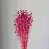 Flor seca frijol rico frijol enamorado flor eterna fábrica mayoreo rojo dorado frijol rojo lino frijol carambola ramo