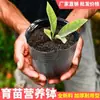 Venta al por mayor de bolsas negras de plástico desechables para plántulas, vasitos nutritivos, macetas para plántulas y bandejas de plástico para plántulas