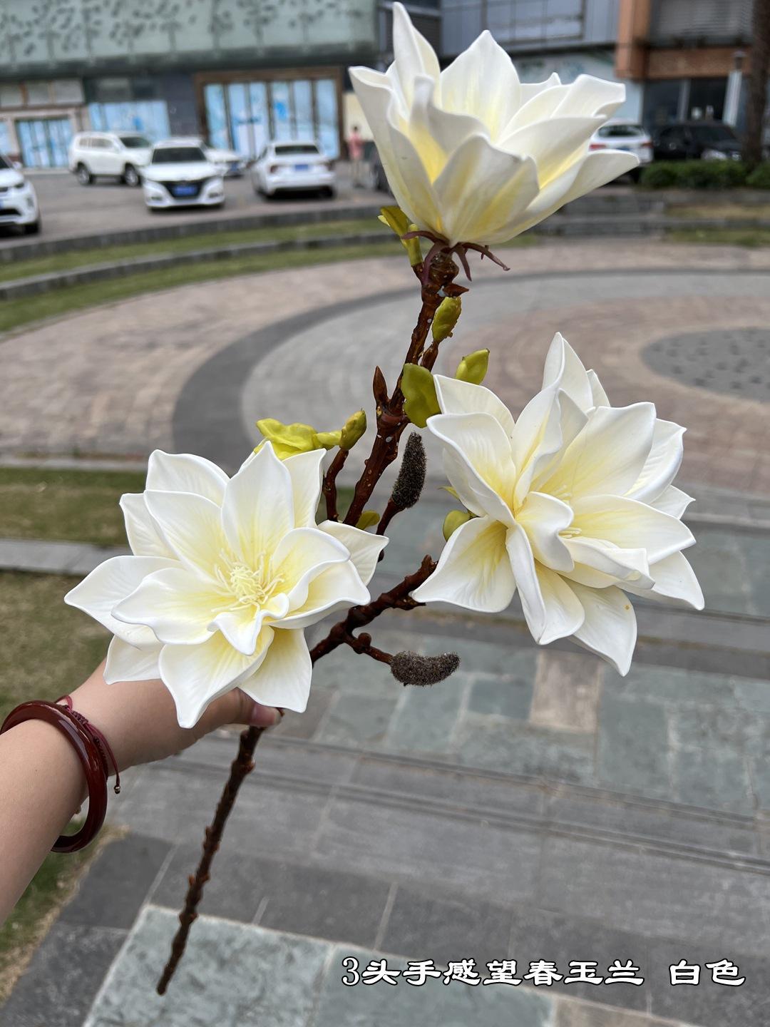 微信图片_20230319093107.jpg