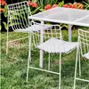 Sillas de Comedor al por Mayor de Fábrica, Estilo de Diseñador, Sillas Metálicas Huecas Personalizadas, Sillas Modernas Minimalistas de Alambre de Hierro, Muebles para Eventos