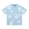 Sudadera de Venta Directa Transfronteriza Moda Personalidad Estilo Callejero Estampado de Kapok Traje de Sudadera con Capucha Casual para Hombre y Mujer