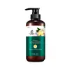 Shampoo Zhenshy Gengibre Controle de Oleosidade Loção Capilar Suavizante Anticaspa Anti-Coceira Shampoo Sem Silicone Atacado Nutrição