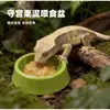 Tazón de puré de frutas de gecko, tazón para alimentar, araña con pestañas, mantis, escarabajo, ciempiés, gecko, tazón de agua para reptiles, tazón de comida para mascotas reptiles