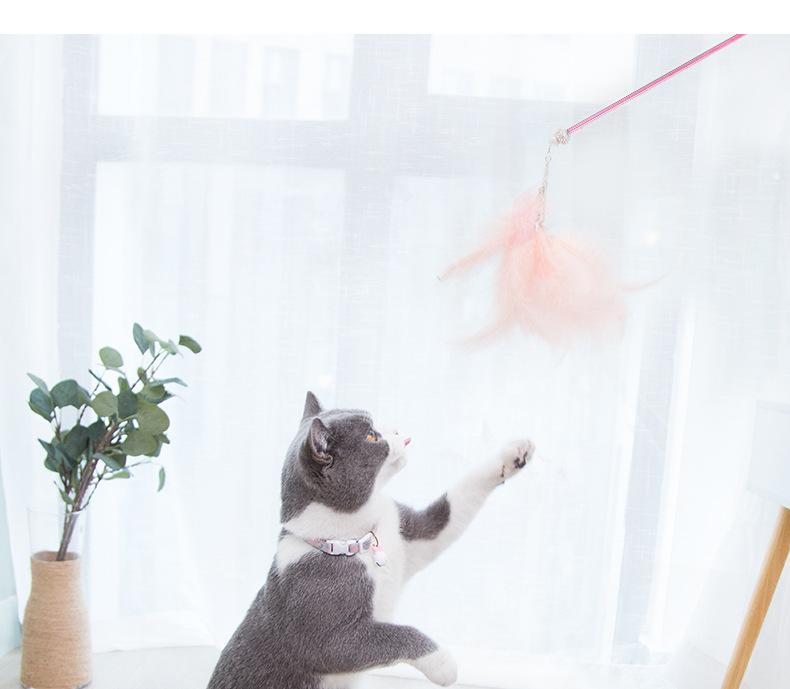 仙女逗猫棒3件套_10.jpg