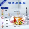Aquário de Vidro Redondo para Mesa de Escritório Pothos Hidropônico Casa Peixes Pequenos Criativo Transparente Pequeno Mini Aquário de Tartaruga para Desktop