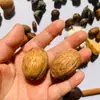 Hojas Caídas Pequeñas, Piñas Mini, Manualidades DIY, Accesorios de Fotografía, Alerce del Norte de China Decoraciones Navideñas Al Por Mayor