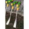 Cavando Bolsa de Pastor Cavando Brotos de Alho Ferramenta Pá de Ferro Plantando Vegetais Capinando Pá Externa Jardinagem Cavando Sementes de Vegetais Selvagens Cavando Terra Puxando Ervas Daninhas
