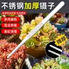Pinça de aço inoxidável extra longa, estendida e espessa, para pegar objetos, alimentar tartarugas, suculentas, jardinagem, plantas aquáticas, ferramentas para aquário e manusear escorpiões