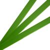 Cinta de embalagem de aço plástico cinta de embalagem pet cola quente manual cinta de amarração logística embalagem 1608 cinta de aço plástico verde