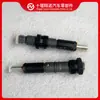 Inyector Motor Cummins 6Bt 4063212 4025334 4063321 0432191340