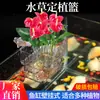 Caja de Incubación Multifuncional Tanque de Peces Cesta para Plantas Hidropónicas Taza para Plantar Plantas Acuáticas Tanque de Peces de Montaje en Pared Caja de Aislamiento