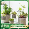 Adornos Pequeños Simulados en Maceta al por Mayor Macetas de Cemento Bonsái Simulados Plantas Simuladas Creativas Nuevas Decoración del Hogar Plantas Verdes