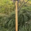 Campanillas de Viento Naturales Importadas de Indonesia Hechas de Cáscaras de Fruta con Documentación Completa, Nicho DIY, Artículos Dañados Devolubles/Intercambiables, Limpio, Agujeros Grandes de 0.2cm