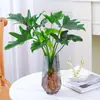 Plantas Hidropónicas Pluma de Primavera Filodendro en Maceta Interior Lluvia de Primavera Plantas Verdes Potos Perenne Cultivo en Agua Bueno Estilo de Escritorio Ins