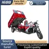 Triciclo a Combustão, Triciclo, Motocicleta de Três Rodas, Doméstico, Agrícola, Carga, Refrigeração a Água, Exportação, Sidecar, Veículo de Três Rodas