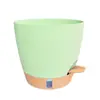 Macetas de Plástico Auto-Riego Amazon para Uso Doméstico, No Necesitan Riego, Macetas Colgantes para Flores, Macetas de Resina para Plantas Verdes