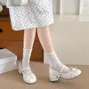Zapatos Mary Jane estilo francés para mujer, nuevo modelo otoño e invierno 2026, que aumentan la altura, con moño, versátiles, bailarinas de tacón grueso para mujer
