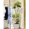 Planta Verde Grande en una Maceta de Madera de Pata de Pato, Adecuada para Sala de Estar y Oficina, Fácil de Cuidar en Todas las Estaciones, También Adecuada para Dormitorio