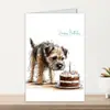 Conjunto Combinado de Cartão de Cumprimentos com Envelope de Feliz Aniversário Novo Transfronteiriço com Cartões de Cumprimentos de Aniversário de Cachorro Escritos à Mão Tamanho Grande A partir de 10 Conjuntos