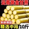 Cana-de-Açúcar Amarela de Yunnan Recém-Cortada, Fruta Fresca Crocante e Doce, 2.5kg de Caules Doces de Cana-de-Açúcar, Suculenta para Grávidas, Caixa Inteira com Frete Grátis