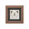 Raro Ornamento de Inseto Precioso Borboleta Pavão Espécime de Borboleta Azul Presente para Idosos, Amigos, Meninas Presente de Aniversário Moldura para Espécime de Borboleta