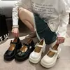 Zapatos Mary Jane para mujer para figuras petite, adecuados para combinar con faldas, nuevo verano 2025 moda retro francesa tacón grueso suela gruesa zapatos de piel