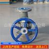 Válvula directa de fábrica J41H-25C