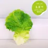 Modelos Simulados de Frutas y Verduras: Repollo, Verduras Verdes Falsas, Pimientos Rojos, Maíz de Poliestireno, Rábano, Calabaza, Plantas Decorativas