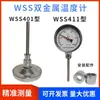 Termómetro Bimetálico Industrial Bledy Tipo Sonda WSS411401 Tubería de Caldera Radial Axial