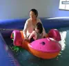 Pesca en piscina parque acuático móvil arenero piscina inflable exterior estanque de peces grande bote de manivela atrapar