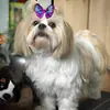 Pinzas para el pelo de mascotas estilo mariposa más vendidas transfronterizas, accesorios para el pelo de mascotas para gatos y perros, suministros para mascotas disponibles para etiquetado y dropshipping