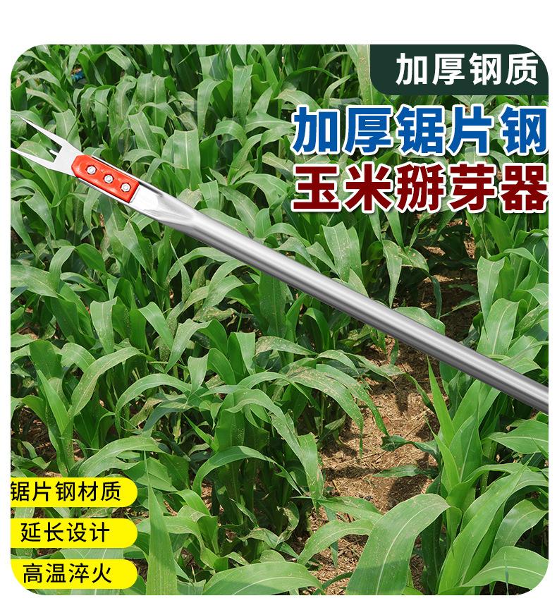 详情_09.jpg