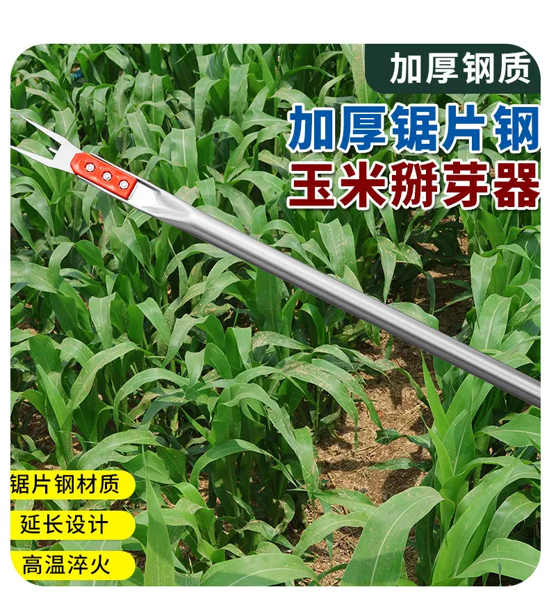 详情_09.jpg